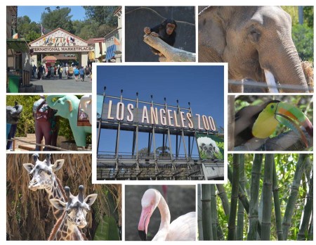 10 Reason’s to Visit Los Angeles Zoo