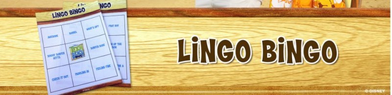 lingo bingo