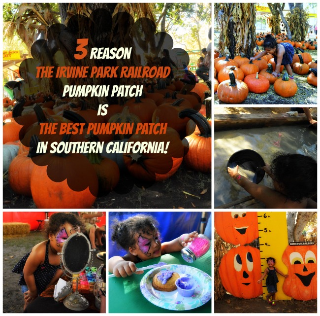 3 reason The Irvine Park Railroad Pumpkin Patch is the best pumpkin patch in Southern California