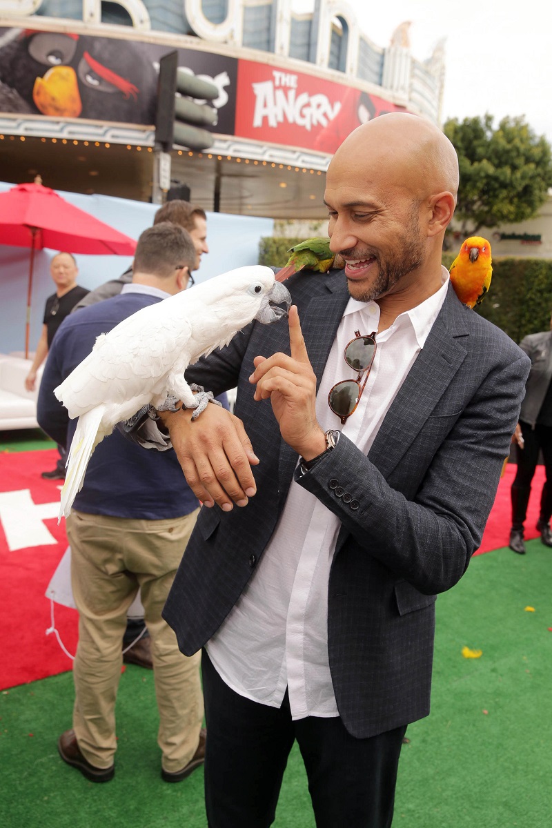 Keegan-Michael Key seen at Columbia Pictures and Rovio Animations Premiere of "The Angry Birds Movie" at Regency Village Theatre on Saturday, May 7, 2016, in Los Angeles.