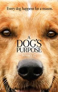 A Dog’s Purpose Movie In Theaters January 27, 2017