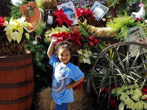 Here is how to have a spectacular day at Knott’s Merry Farm with Kids #MerryFarm and #KnottsPartner