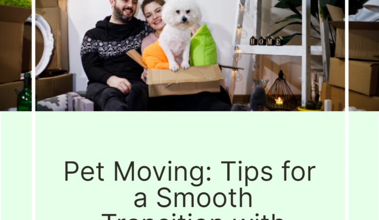 Pet Moving: Tips for a Smooth Transition with Local Movers