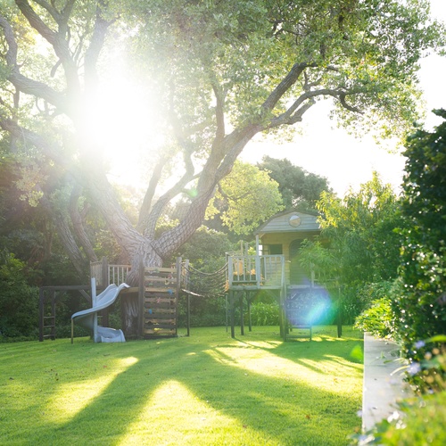 A backyard with a large play structure that is intertwined with a large tree. The sun shines through the tree's branches.