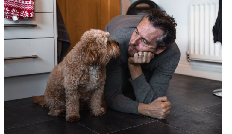 What to Do When Your Pet Needs Urgent Care