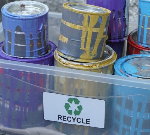Common Household Items That Should Never Go in the Trash