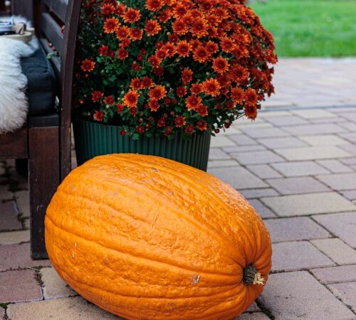Fall Exterior Upgrades To Get Ready for Winter